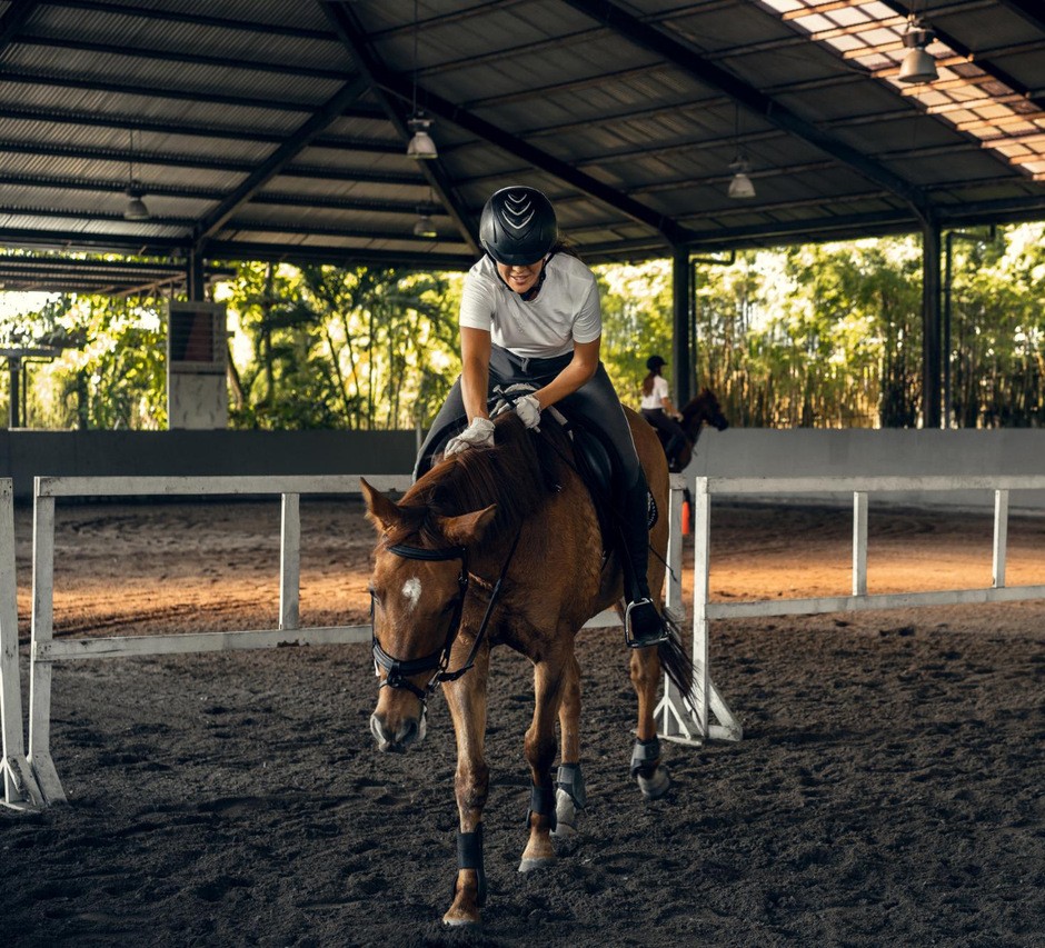 curso-fisioterapia-reabilitacao-em-equinos